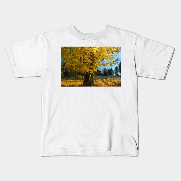 Golden Maple Kids T-Shirt by bogfl